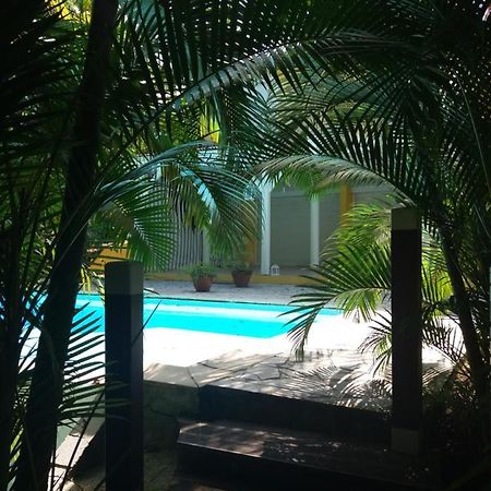 Chambre D'Hote Et Loft Dans Maison De Charme Piscine A Debordement La Villa Gialla Schoelcher Exterior photo