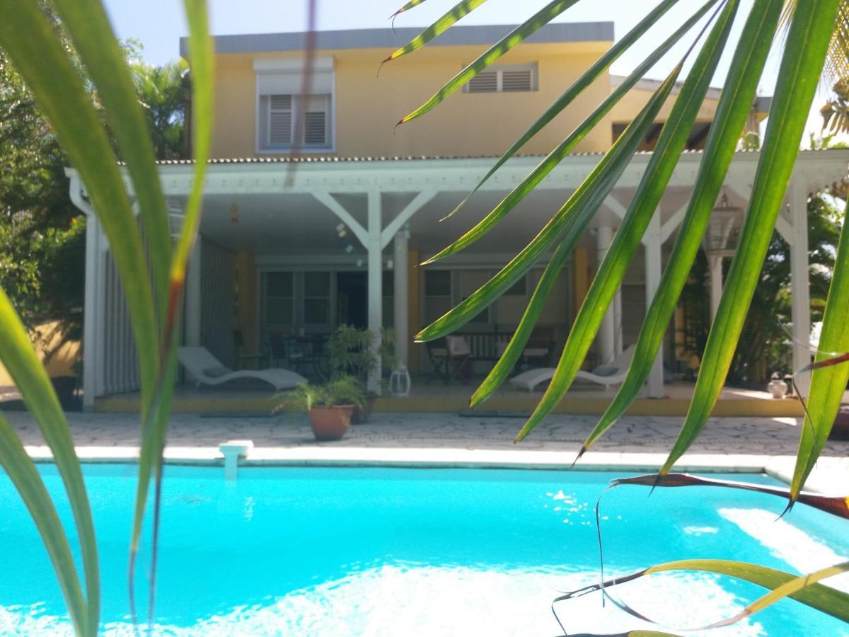 Chambre D'Hote Et Loft Dans Maison De Charme Piscine A Debordement La Villa Gialla Schoelcher Exterior photo