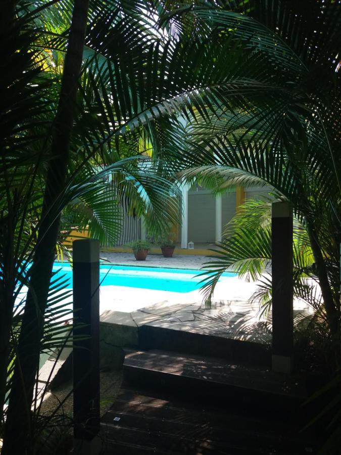 Chambre D'Hote Et Loft Dans Maison De Charme Piscine A Debordement La Villa Gialla Schoelcher Exterior photo