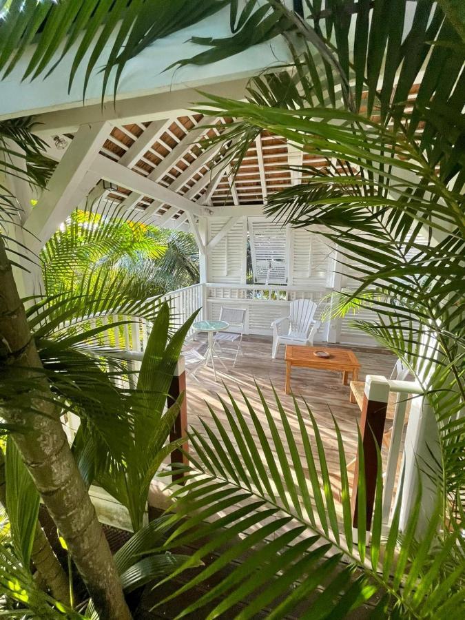 Chambre D'Hote Et Loft Dans Maison De Charme Piscine A Debordement La Villa Gialla Schoelcher Exterior photo